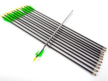 Fiberglass Arrow