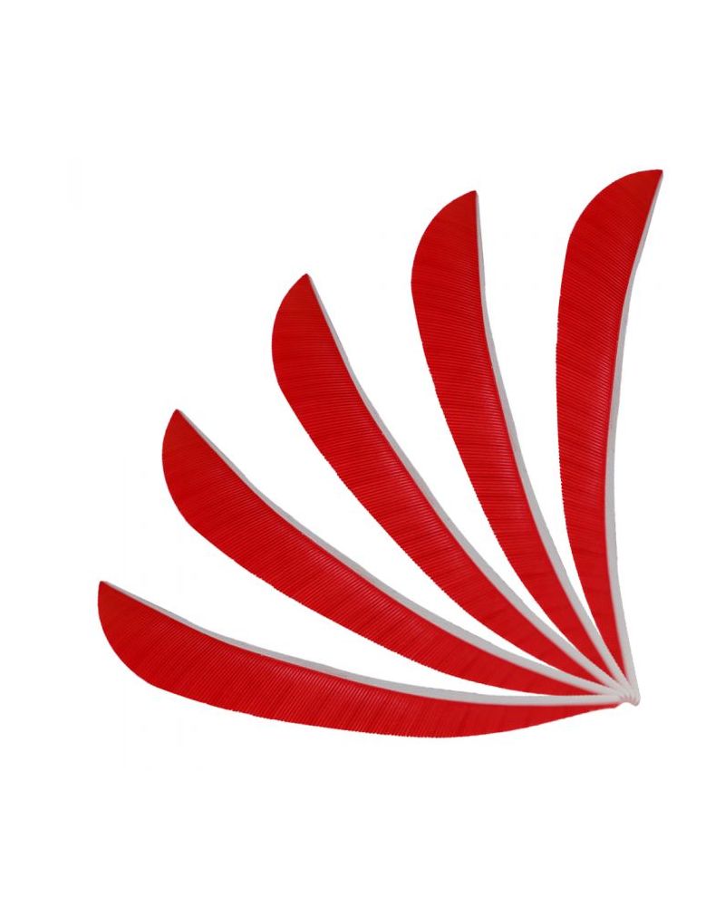 Pluma Natural 4" Parabolic