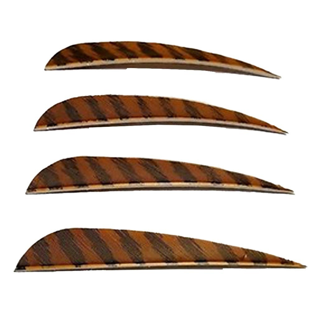 Pluma Natural 4" Parabolic