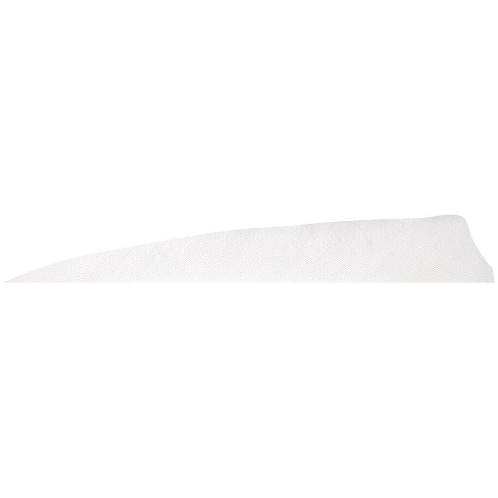 Pluma Natural 4" Shield