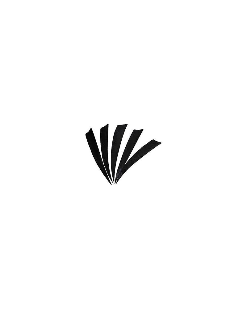 Pluma Natural 4" Shield