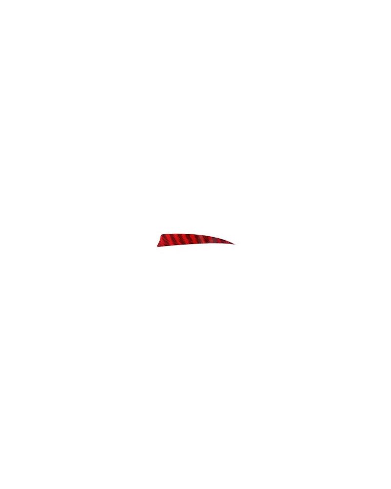 Pluma Natural 4" Shield