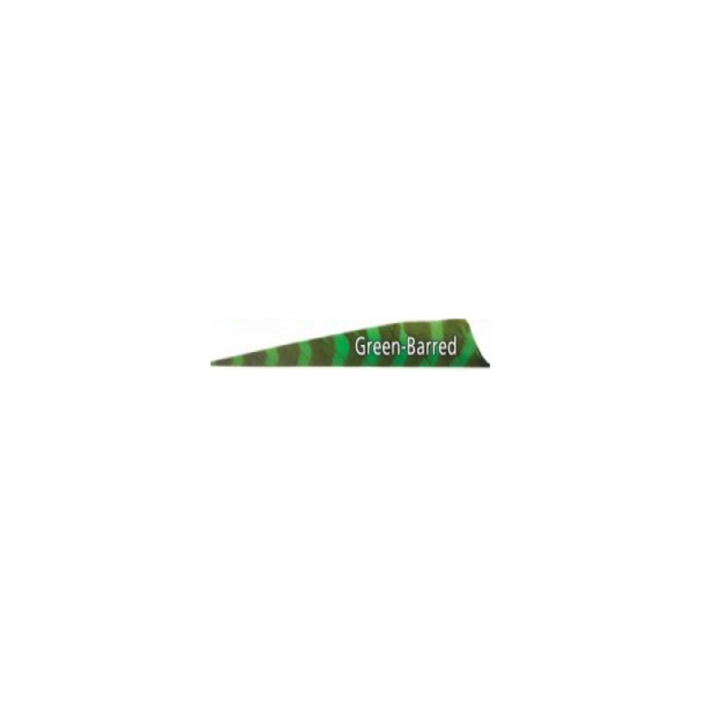 Pluma Natural 4" Shield