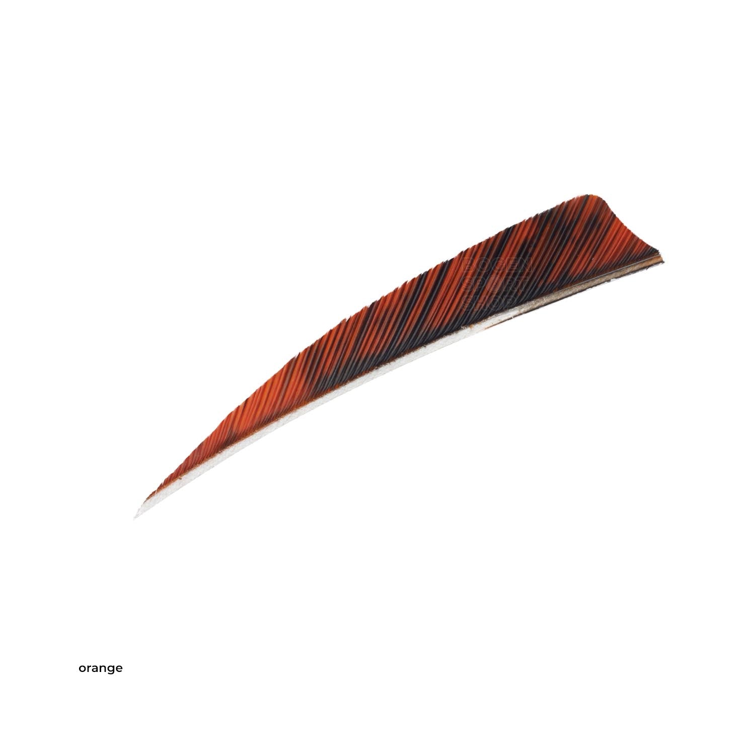 GATEWAY 4" SHIELD TRE BARRED FEATHERS Tre