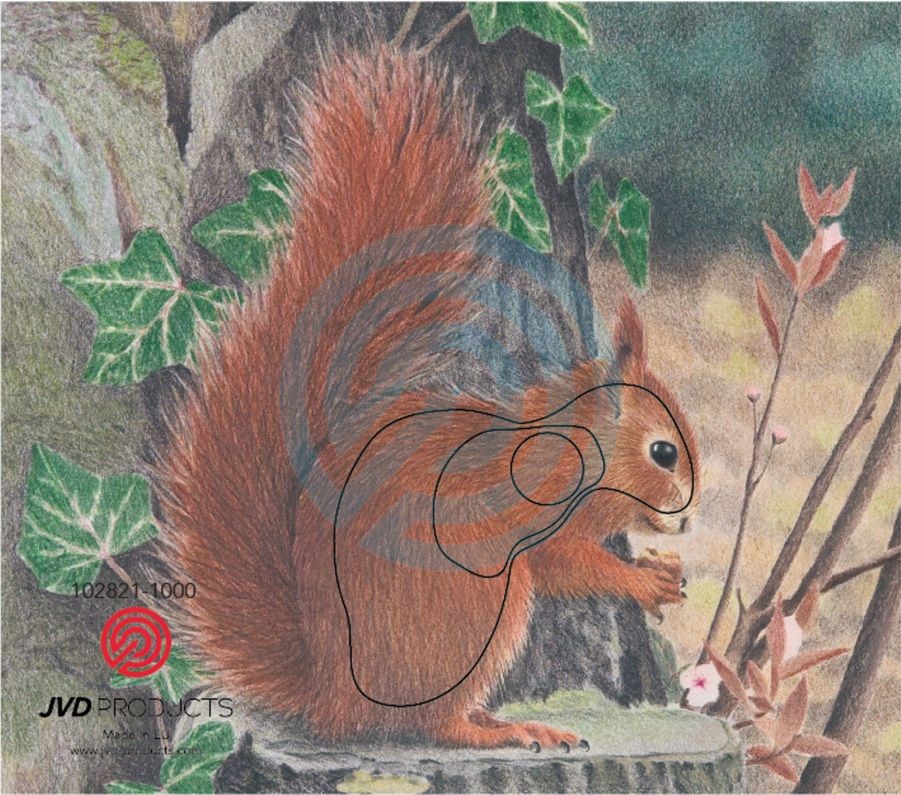 JVD Animal Face Squirrel