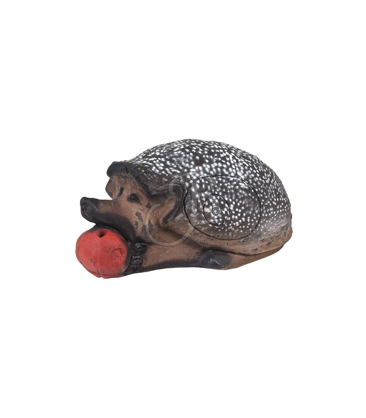 Target 3D Hedgehog